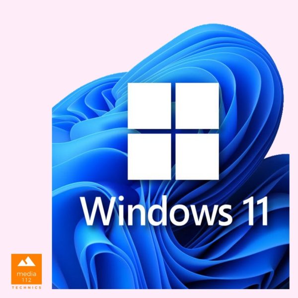 Windows 11 Professional